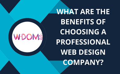 What are the Benefits of Choosing a Professional Web Design Company?